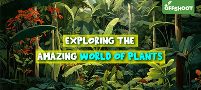 Exploring The Amazing World of Plants