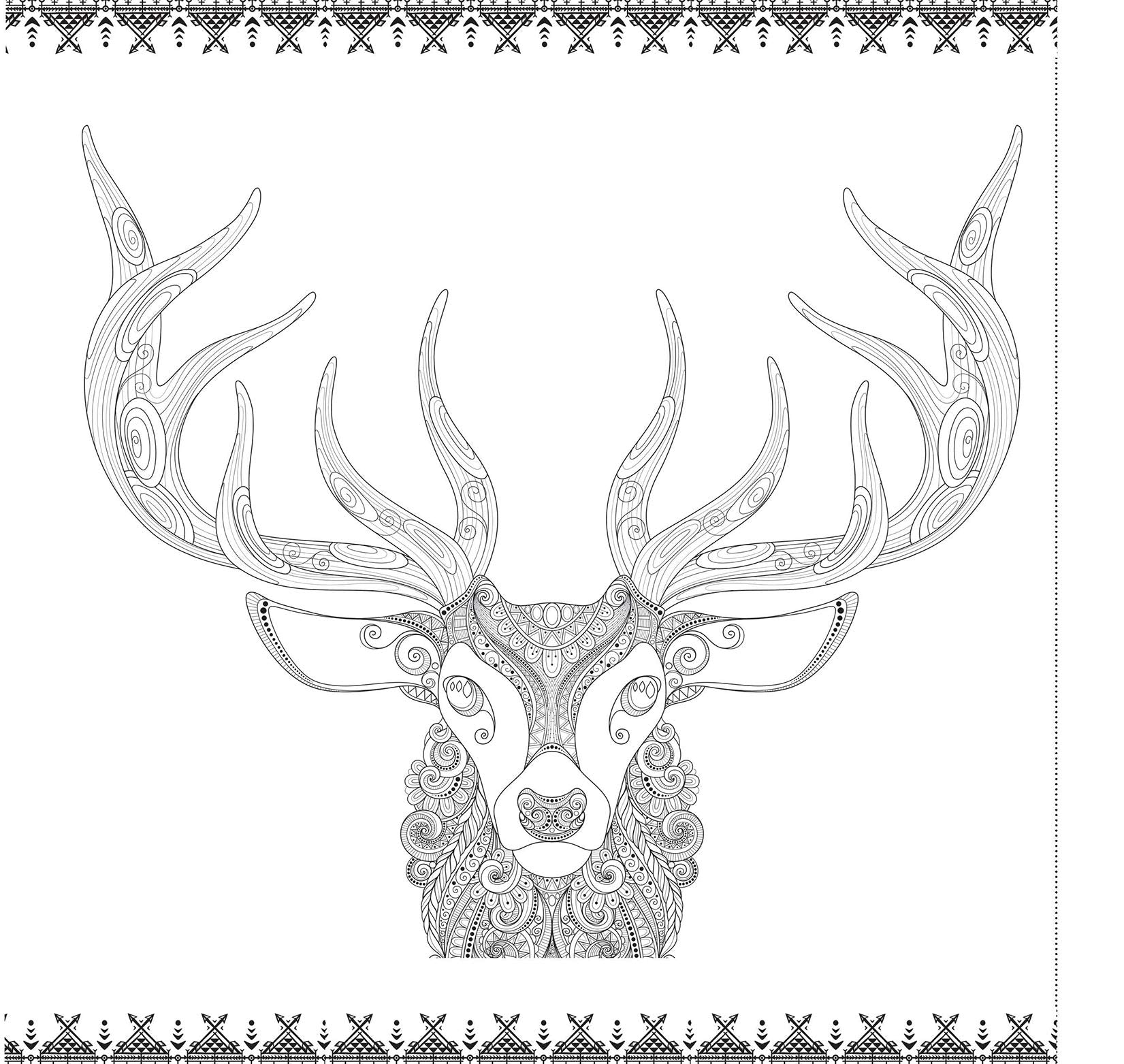 The Originals (Expressions) Unique and Intricate Designs Inspired and Creative Coloring Book