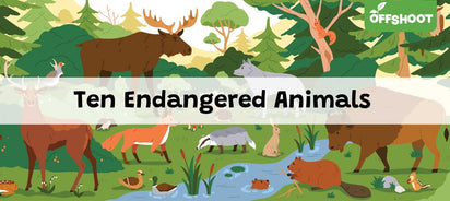 Where Can We Find the Top 10 Endangered Animals with Endangered Animals Chart?
