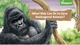 What Kids Can Do to Save Endangered Animals?