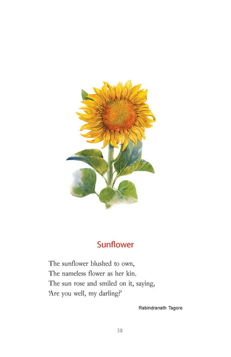 Flower In Verses: For Better, For Verse (Forever Notebooks)