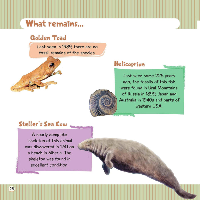Extinct Animals With Name And Pictures In English For Kids