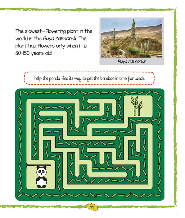 Witty Activities with Plants - Dot-to-Dot, Puzzles, Mazes, Sketches Children Activity Books
